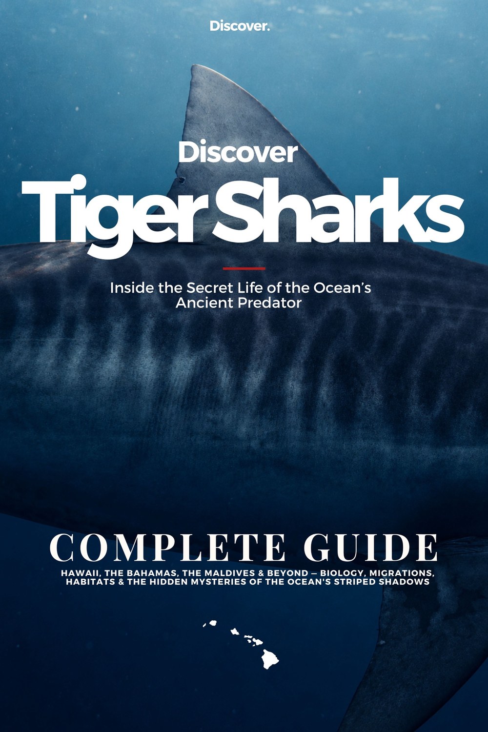Discover Tiger Sharks, Complete Guide, cover